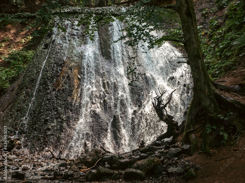 Cascade du Rossignolet au Mont Dore (Auvergne)
