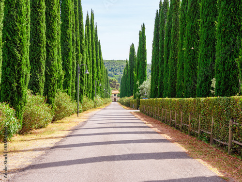 Tuscany Italy avenue in the countryside