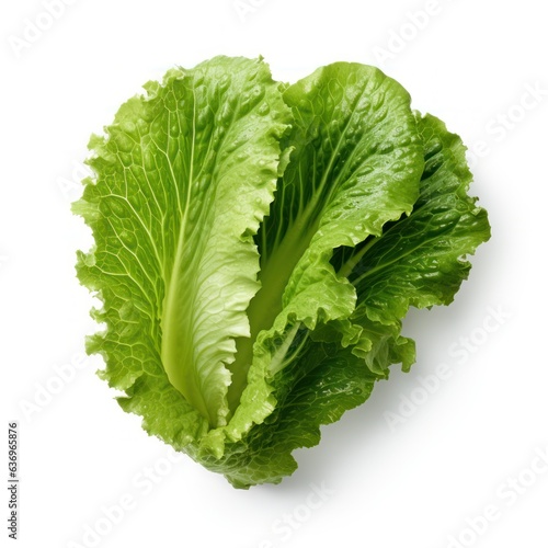 Top view lettuce leaves isolate on white background