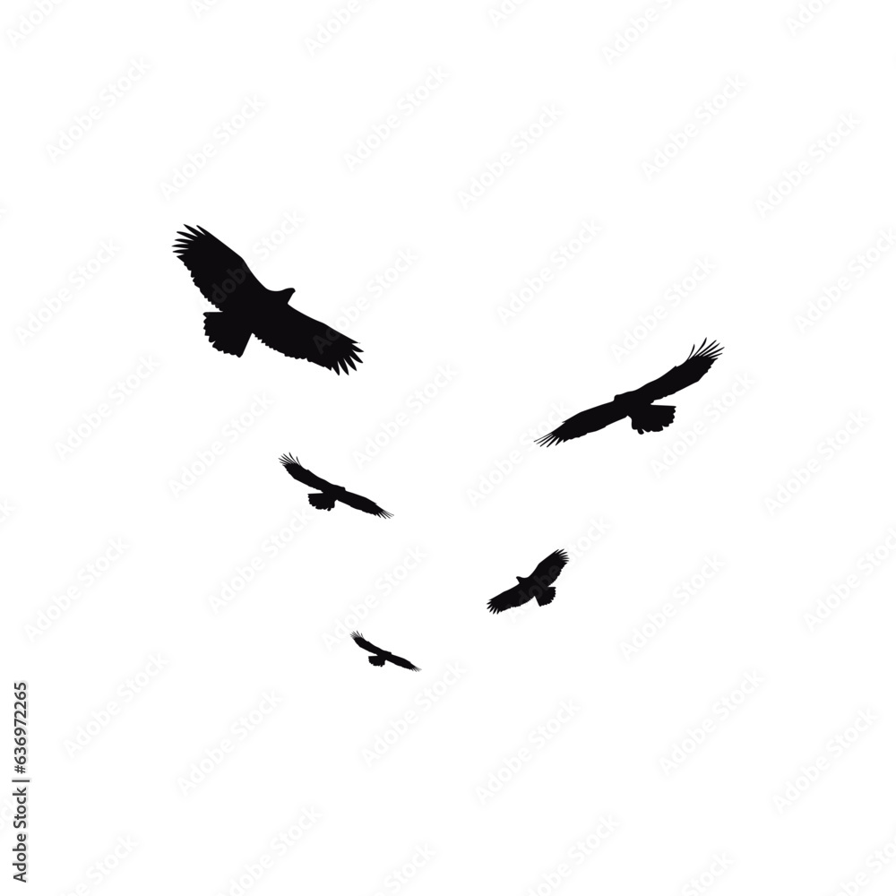 Vector illustration of Flock eagle birds flying Vector illustration of Flock eagle birds flying