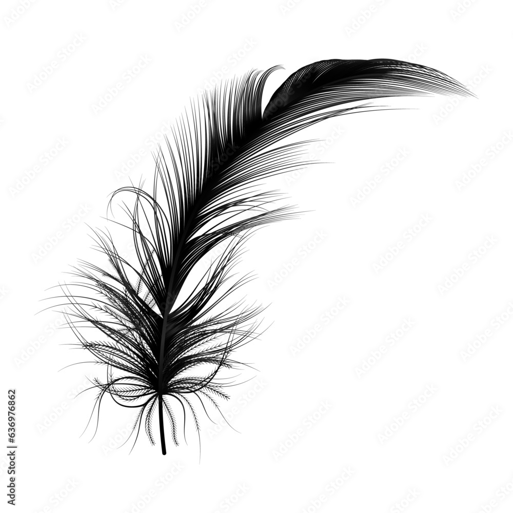 Obraz premium Feather isolated. Vector illustration.