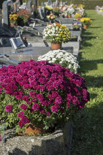 Pierres tombales fleuries dans un cimetière

