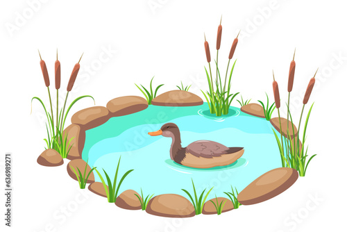 Pond with reeds and duck. Lake in cartoon style. Pond with grass and stones