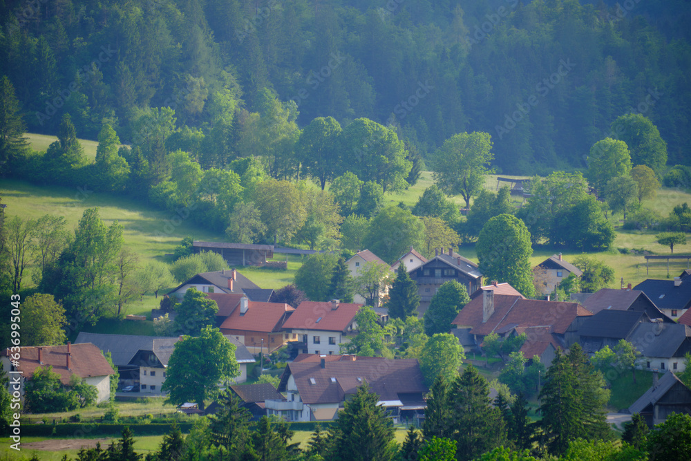 Mojstrana village from a far, Slovenia
