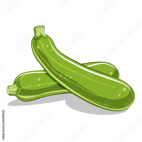 Flat vector illustration of green zucchinis isolated on white background