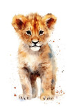 Baby lion, watercolor. Cub.