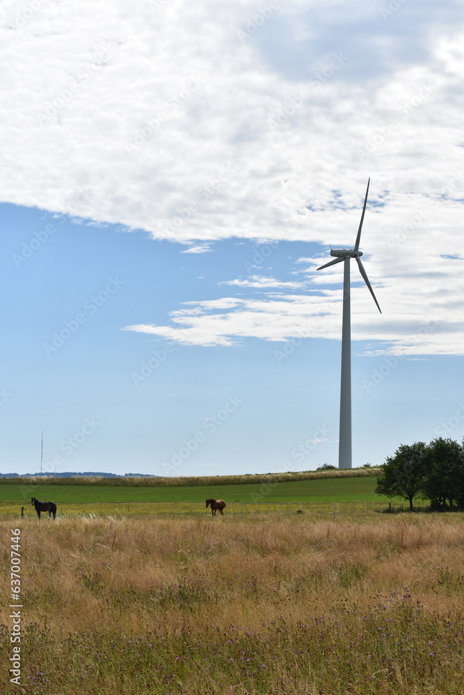 Fototapeta premium Windkraft-Strom-Energie-in-Werra-Meißner-Kreis-Hessen-Deutschland-Energiewende
