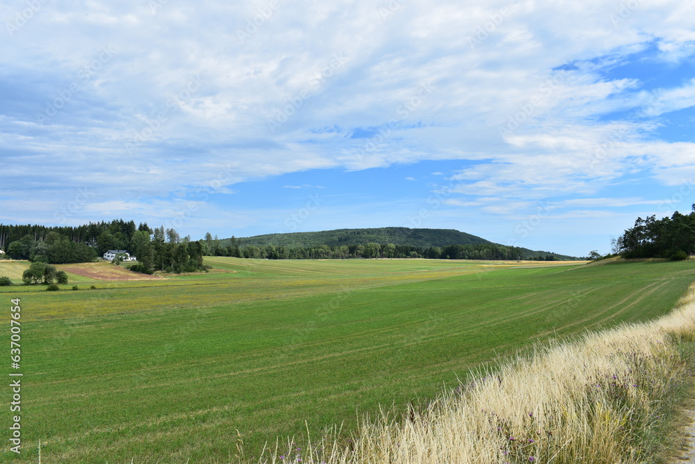 Fototapeta premium Landschaften-Natur-Blumen-Wiesen-Felder