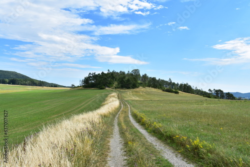 Werra-Mei  ner-Kreis-Natur-Landschaft-Felder-Blumen-Wald