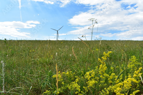 Windkraft-Strom-Energie-in-Werra-Meißner-Kreis-Hessen-Deutschland-Energiewende © Alexander