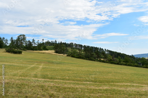 Landschaften-Natur-Blumen-Wiesen-Felder