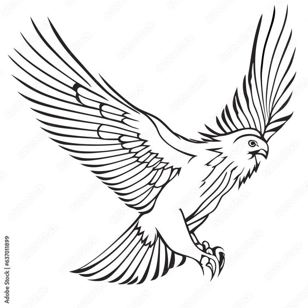 a bird of prey, motion, flying, vector illustration line art