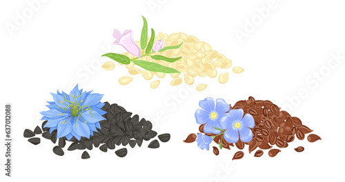 Heap of flax seeds, black cumin and sesame. Set of vector cartoon illustration.