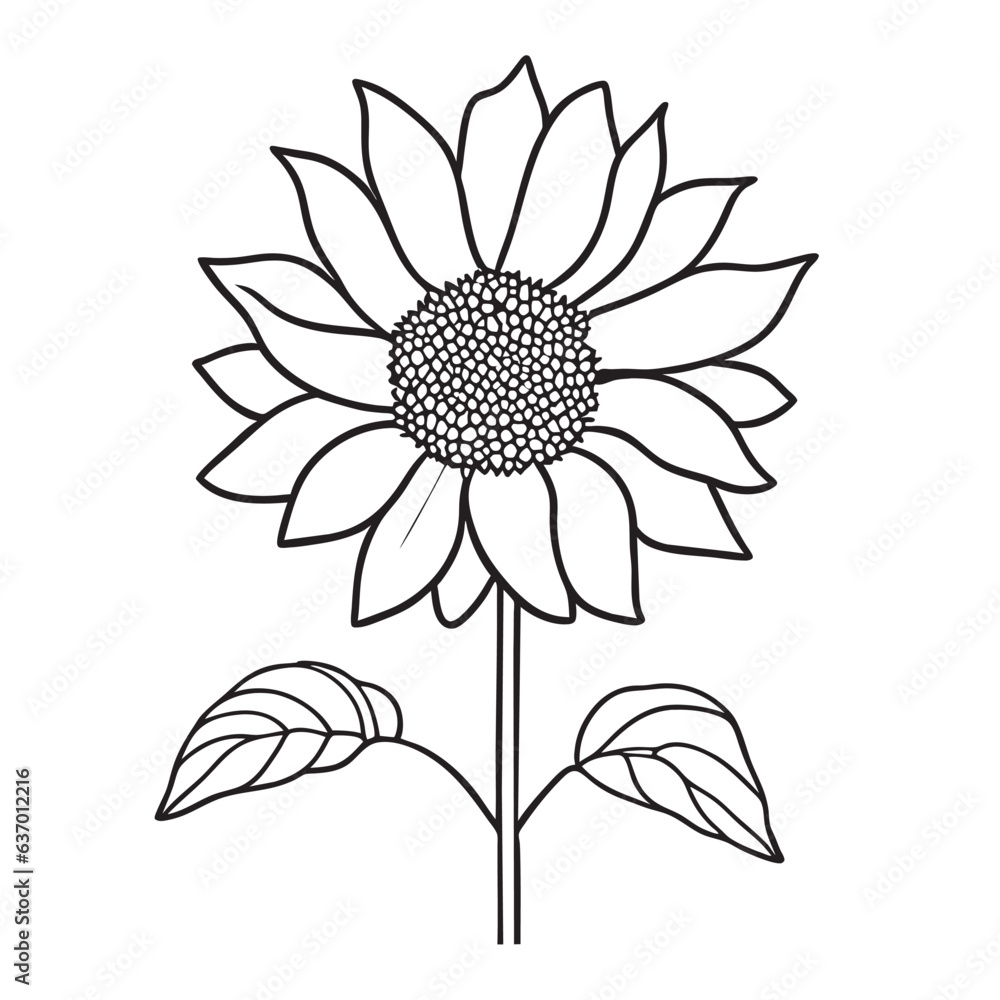 sunflower, vector illustration line art