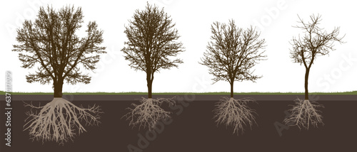 Bare deciduous trees with root system, silhouette. Black trees and white roots. Vector illustration