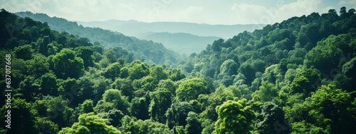 Sustainability net zero carbon negative forest nature Biodiversity Diversity, Generative AI photo