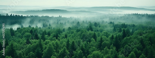 Sustainability net zero carbon negative forest nature Biodiversity Diversity, Generative AI