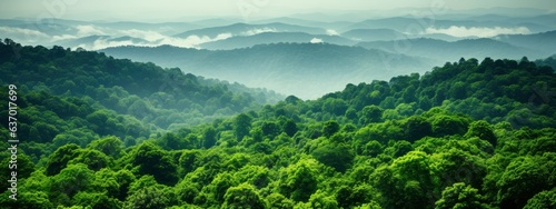 Sustainability net zero carbon negative forest nature Biodiversity Diversity, Generative AI