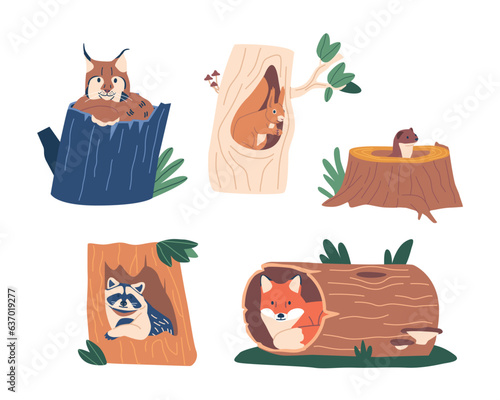Various Animals And Birds Inhabit Hollows, Seeking Shelter And Safety. These Natural Crevices Provide A Secure Home