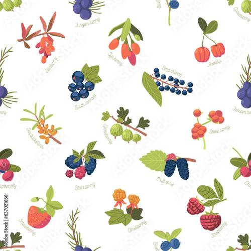 Seamless Pattren with Berries. Strawberry, Raspberry, Sea Buckthorn or Bird Cherry. Juniper, Black Currant, Blueberry