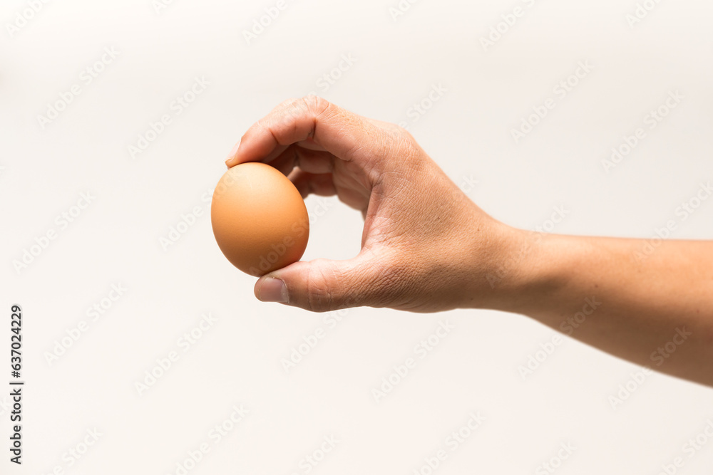 Close up male right hand holding chicken egg for prepare cooking isolate on white background.Hand holding organic produced eggs. Close up male right hand holding chicken egg for prepare cooking isolate on white background.Hand holding organic produced eggs.
