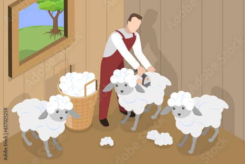 3D Isometric Flat Vector Conceptual Illustration of Shearing Sheep, Wool Production