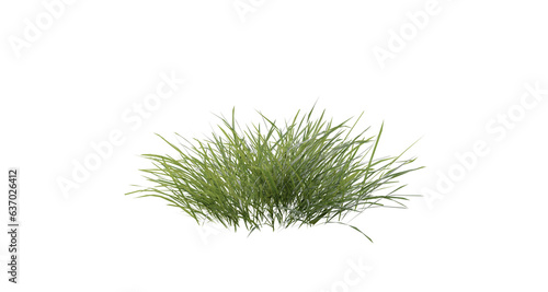 Bunches of grass on a transparent background. 3D rendering. 