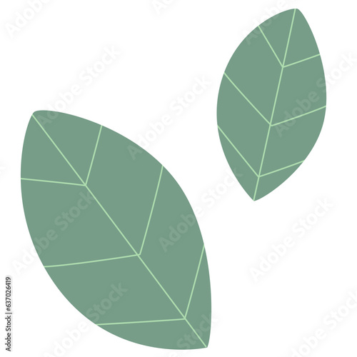 leaf , green , element , pastel , plant