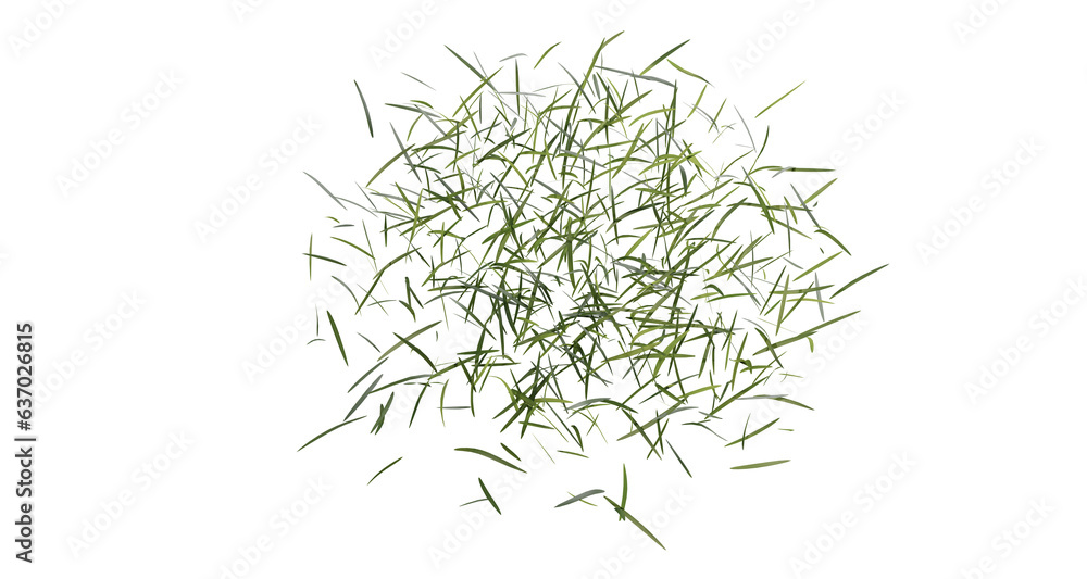 Bunches of grass on a transparent background. 3D rendering. Bunches of grass on a transparent background. 3D rendering.