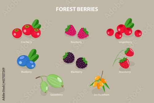 3D Isometric Flat Vector Set of Forest Berries, Juicy and Fresh Fruits