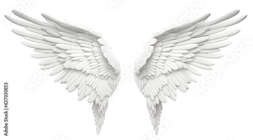 White wings isolated on transparent background © Oksana