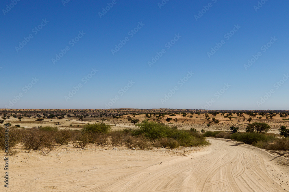 Kalahari Landscape, Kgalagadi, Transfrontier Park, South Africa