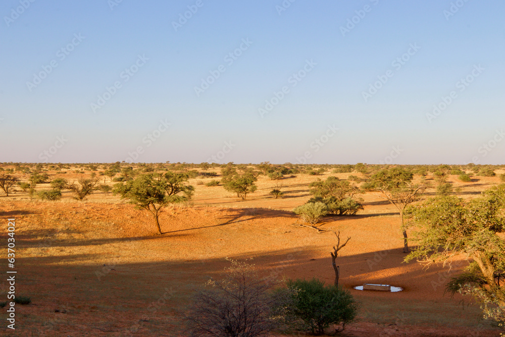 Gharagab camp waterhole, Kgalagadi Transfrontier Park, Kalahari, South Africa