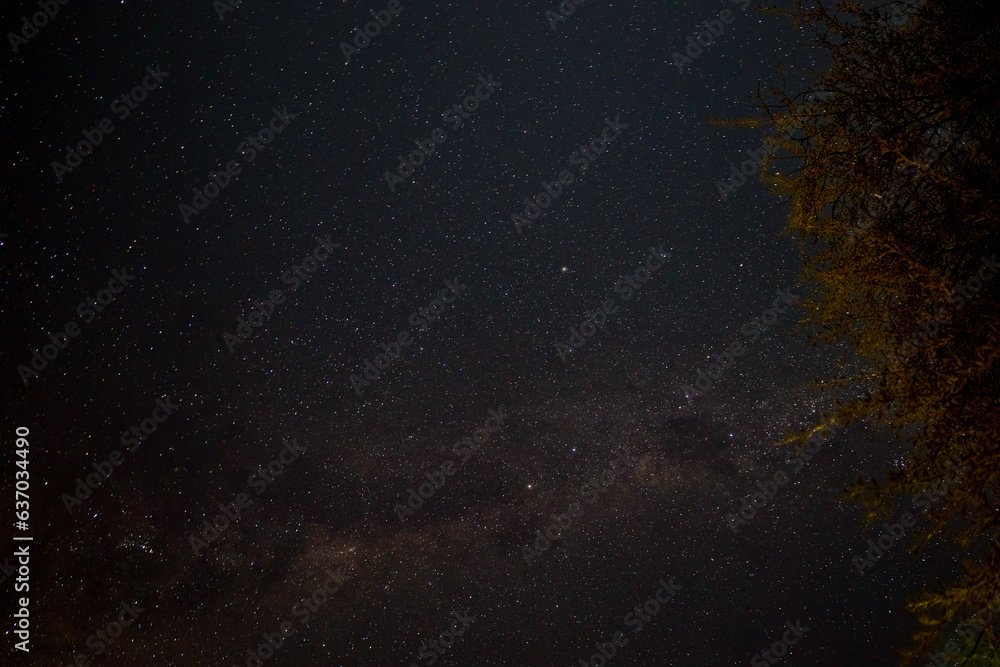 Starry sky and Milky Way in the Kgalagadi Transfrontier Park, Kalahari, South Africa Starry sky and Milky Way in the Kgalagadi Transfrontier Park, Kalahari, South Africa
