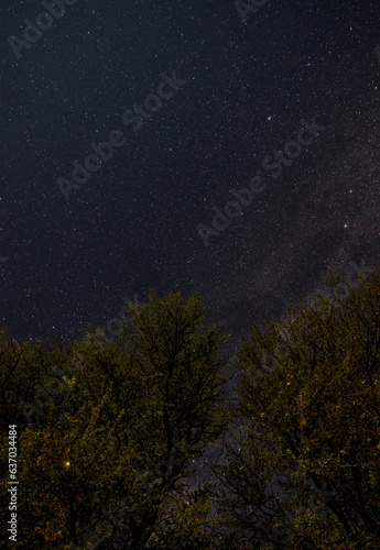 Starry sky and Milky Way in the Kgalagadi Transfrontier Park, Kalahari, South Africa © Kim