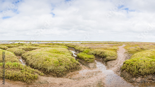 Brancaster Staithe marshes panorama photo