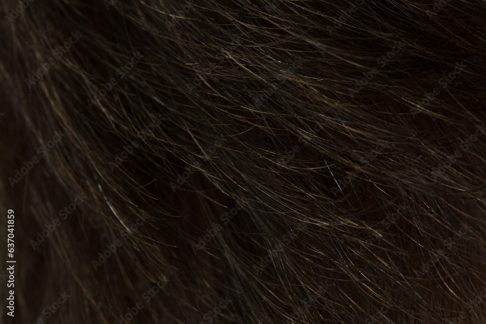 Naklejka premium closeup shot of caucasian man with thinning hair problem side shot