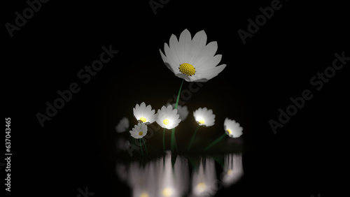 Spotted light on a white daisy bush on a creek in a night (3D Rendering) photo