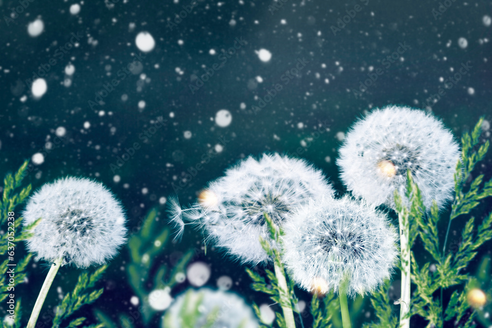 Fluffy dandelion flower against the background of the summer landscape. Fluffy dandelion flower against the background of the summer landscape.