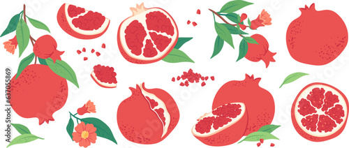 Fresh juicy pomegranates, ripe delicious garnet fruit slices and halves, pomegranate seeds. Healthy antioxidant rich food, hand drawn pomegranate tree branch with leaves and red flowers vector set