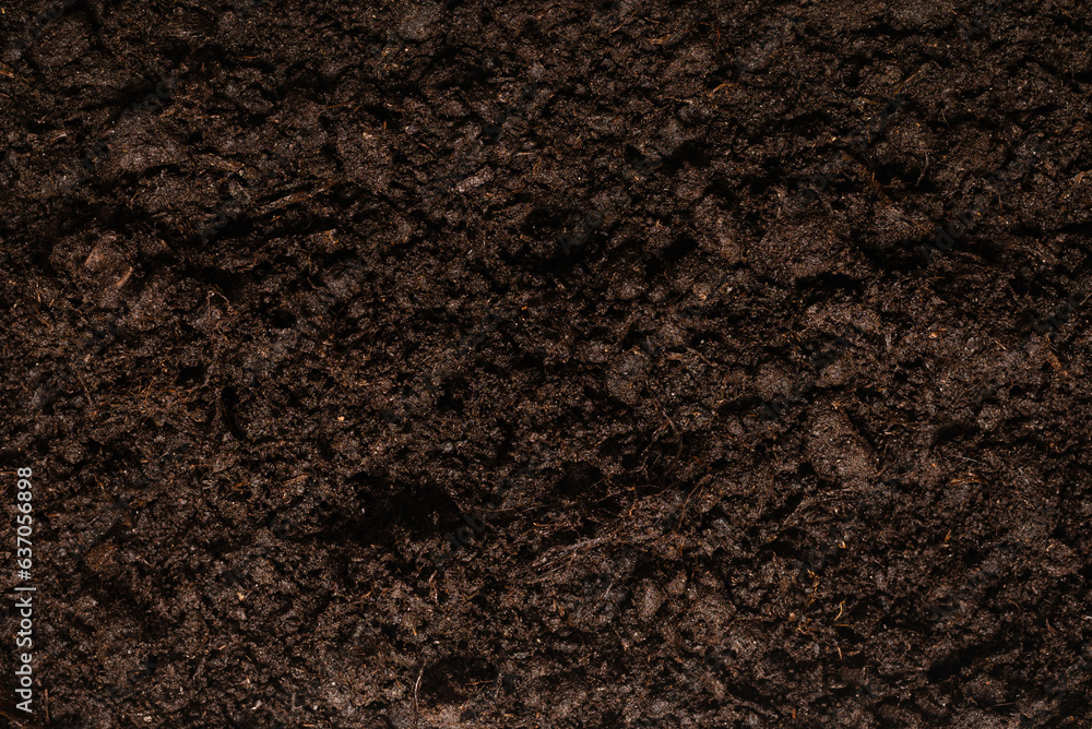 Fototapeta premium Black land for plant background.