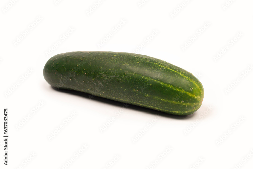 fresh cucumber on white background fresh cucumber on white background
