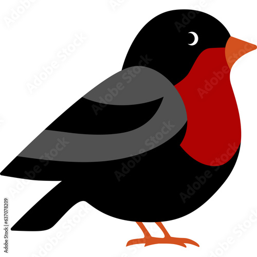 Bullfinch Bird Illustration