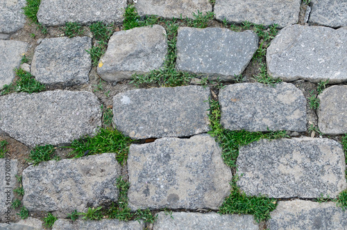 Close-up of a cobblestone path with grass growing between the stones.