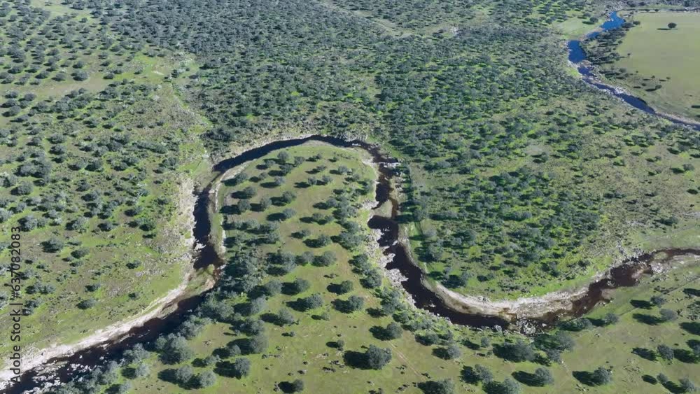 Dehesas de Encinas and seasonal river. Spring landscape from a drone in the surroundings of the town of La Aldea del Obispo. Caceres. Estremadura. Spain. Europe Dehesas de Encinas and seasonal river. Spring landscape from a drone in the surroundings of the town of La Aldea del Obispo. Caceres. Estremadura. Spain. Europe