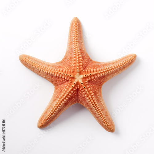 Isolated starfish on a white background: ocean, sea, beach - perfect for summer vacation design. Flat lay, top view, with subtle shadows.