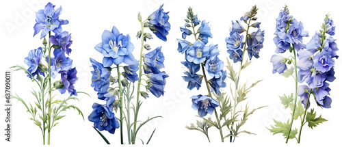 delphinium, flower, leaf, illustration, summer, plant, watercolor, floral, nature, blue, blossom, garden, botanical, art, transparent background 