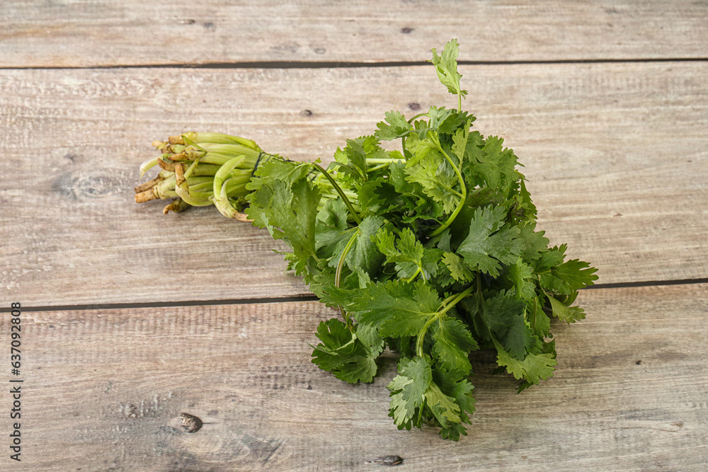 Green coriander leaves herb heap Green coriander leaves herb heap