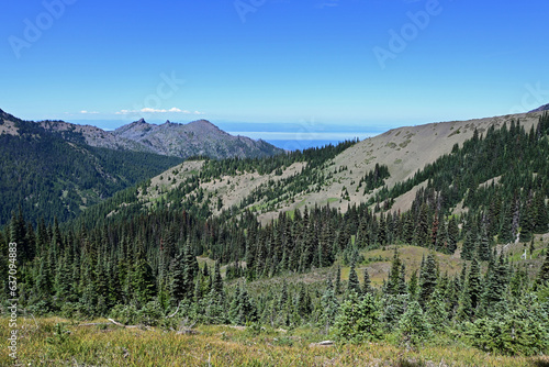 Forested mountains of Hurricane Ridge in Olympic National Park, Washington on sunny summer afternoon.