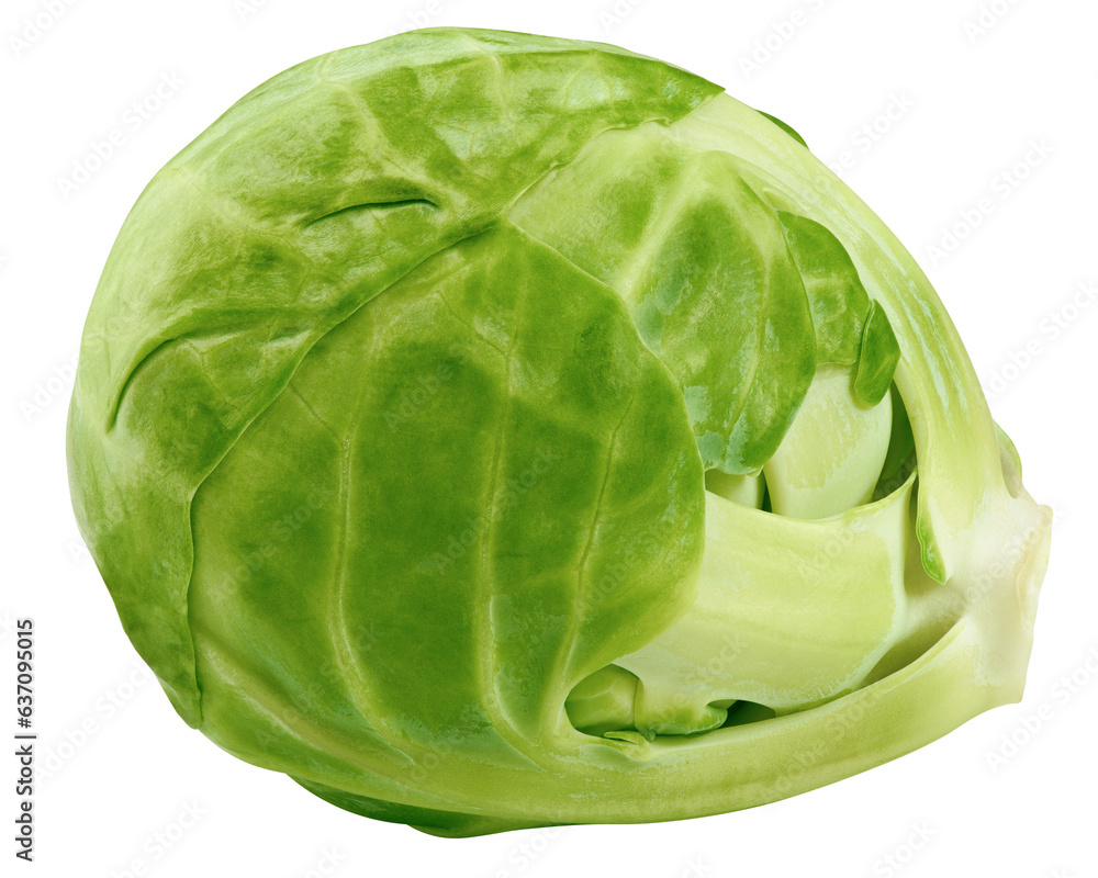 Fototapeta premium Brussel sprout isolated on white background, full depth of field